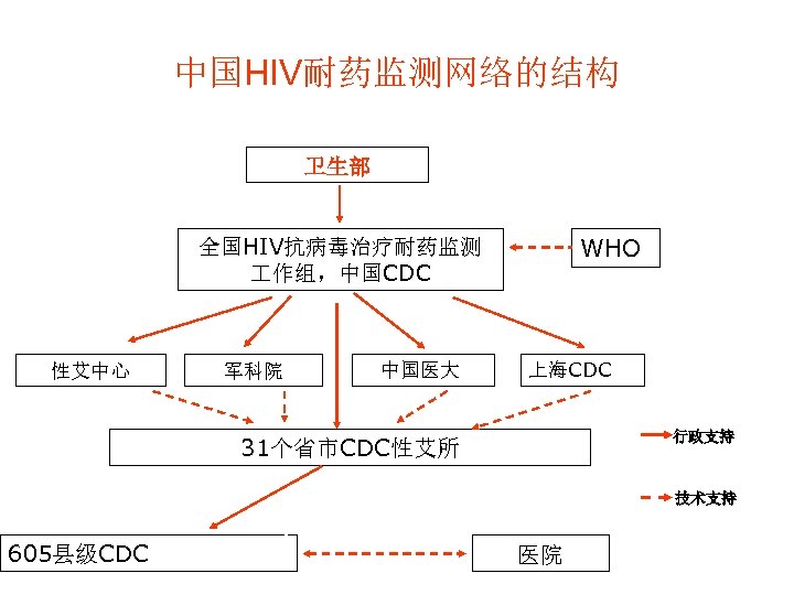 中国HIV耐药监测网络的结构 卫生部 WHO 全国HIV抗病毒治疗耐药监测 作组，中国CDC 性艾中心 军科院 中国医大 上海CDC 行政支持 31个省市CDC性艾所 技术支持 605县级CDC 医院