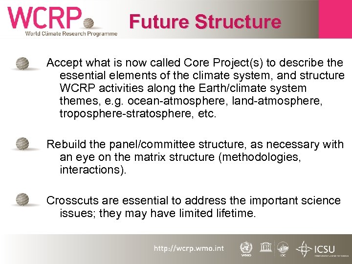 Future Structure Accept what is now called Core Project(s) to describe the essential elements