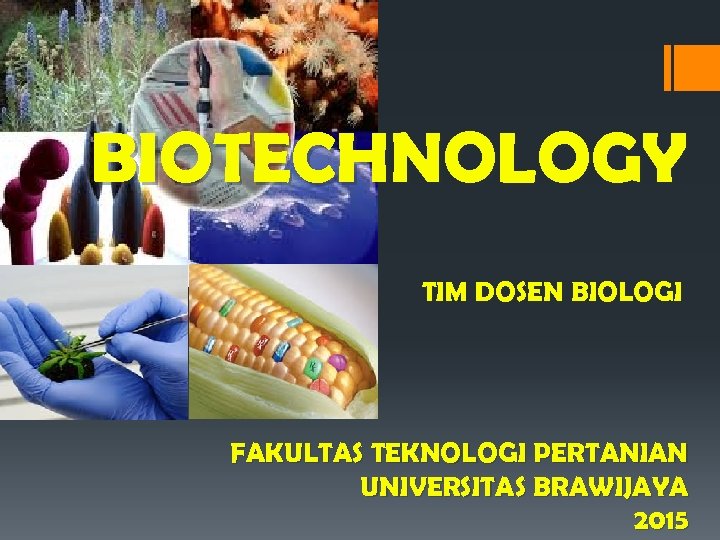 BIOTECHNOLOGY TIM DOSEN BIOLOGI FAKULTAS TEKNOLOGI PERTANIAN UNIVERSITAS BRAWIJAYA 2015 