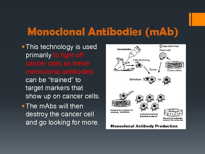 Monoclonal Antibodies (m. Ab) § This technology is used primarily to fight off cancer