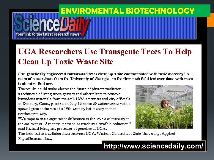 ENVIROMENTAL BIOTECHNOLOGY UGA Researchers Use Transgenic Trees To Help Clean Up Toxic Waste Site