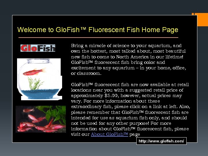 Welcome to Glo. Fish™ Fluorescent Fish Home Page Bring a miracle of science to