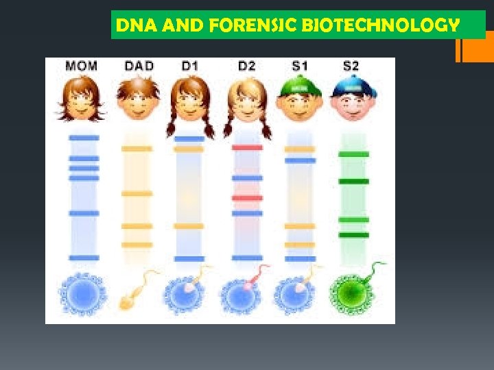 DNA AND FORENSIC BIOTECHNOLOGY 