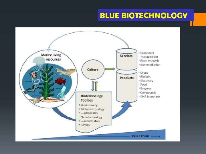 BLUE BIOTECHNOLOGY 