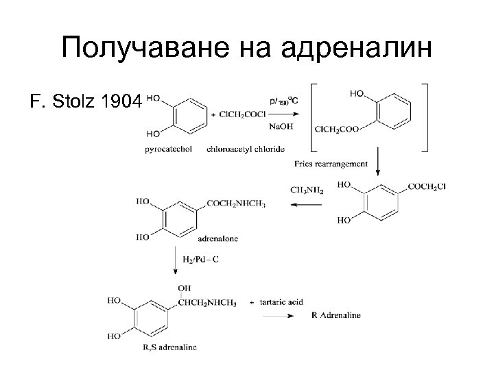 Получаване на адреналин F. Stolz 1904 