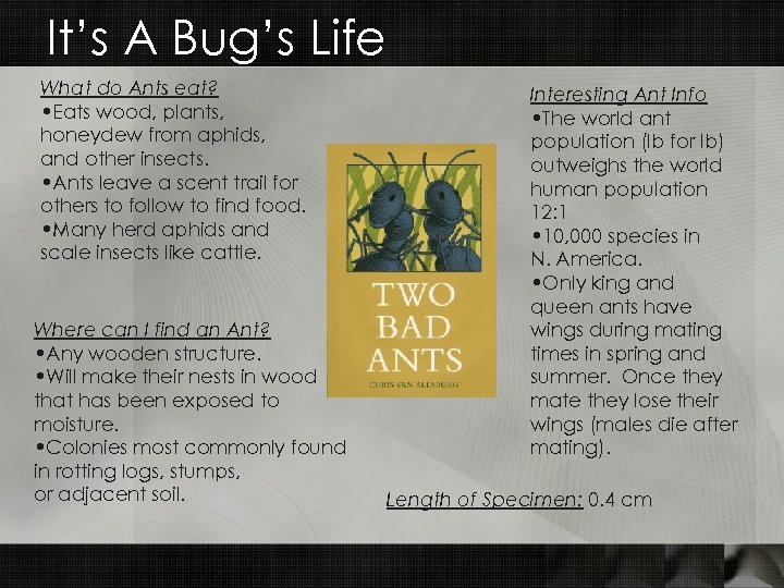 It’s A Bug’s Life What do Ants eat? • Eats wood, plants, honeydew from