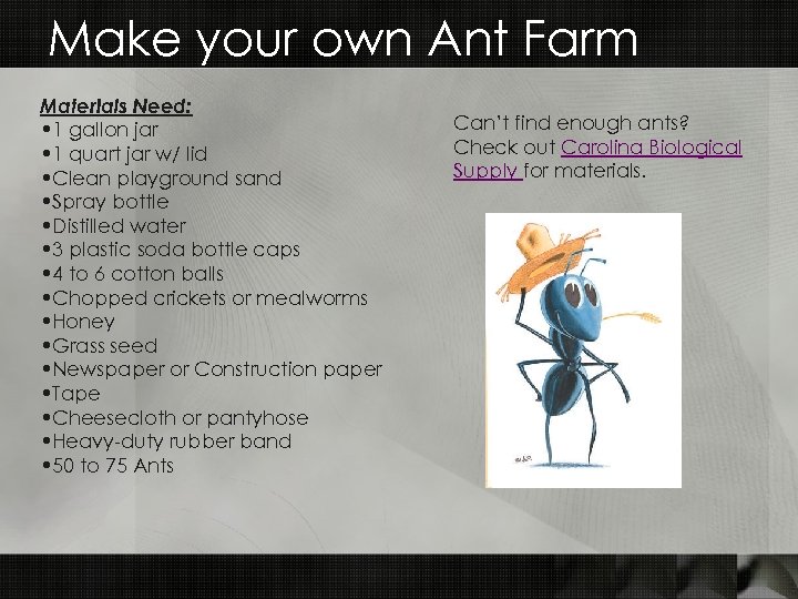 Make your own Ant Farm Materials Need: • 1 gallon jar • 1 quart