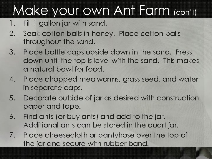 Make your own Ant Farm (con’t) 1. 2. 3. 4. 5. 6. 7. Fill