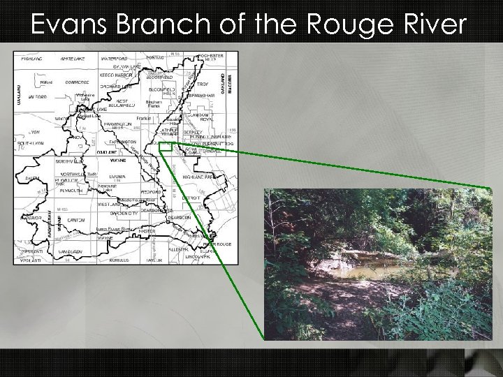 Evans Branch of the Rouge River 