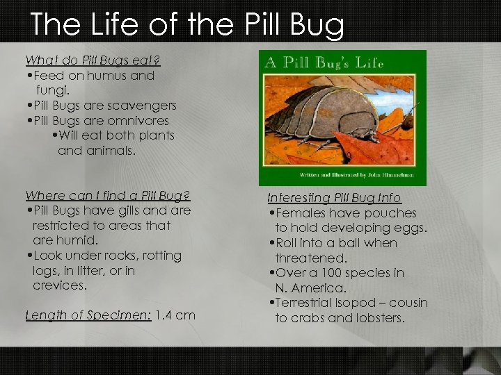 The Life of the Pill Bug What do Pill Bugs eat? • Feed on