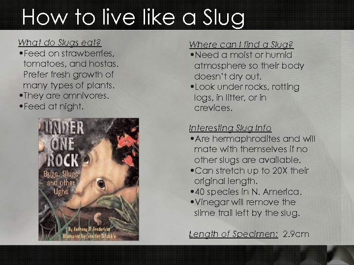 How to live like a Slug What do Slugs eat? • Feed on strawberries,