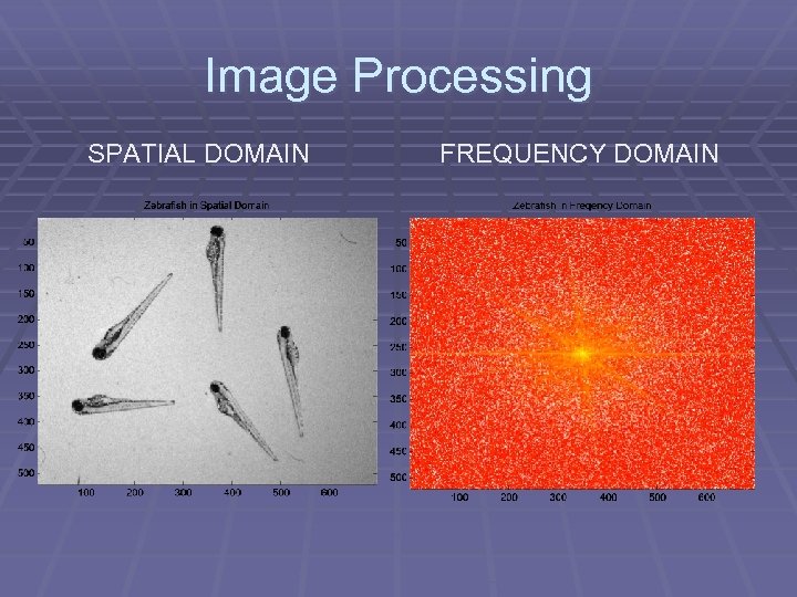 Image Processing SPATIAL DOMAIN FREQUENCY DOMAIN 