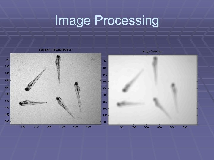 Image Processing 
