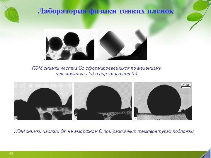 Лаборатория физики тонких пленок ПЭМ снимки частиц Co сформировавшихся по механизму пар-жидкость (a) и