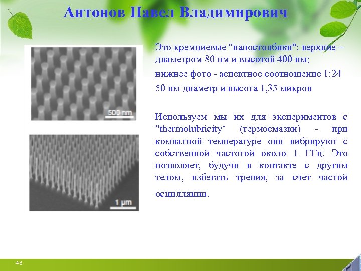 Антонов Павел Владимирович Это кремниевые 
