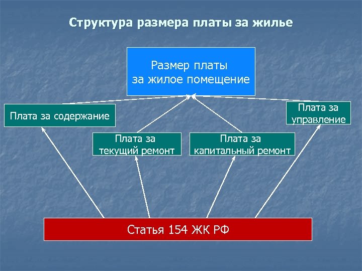 Структура размера платы за жилье Размер платы за жилое помещение Плата за управление Плата