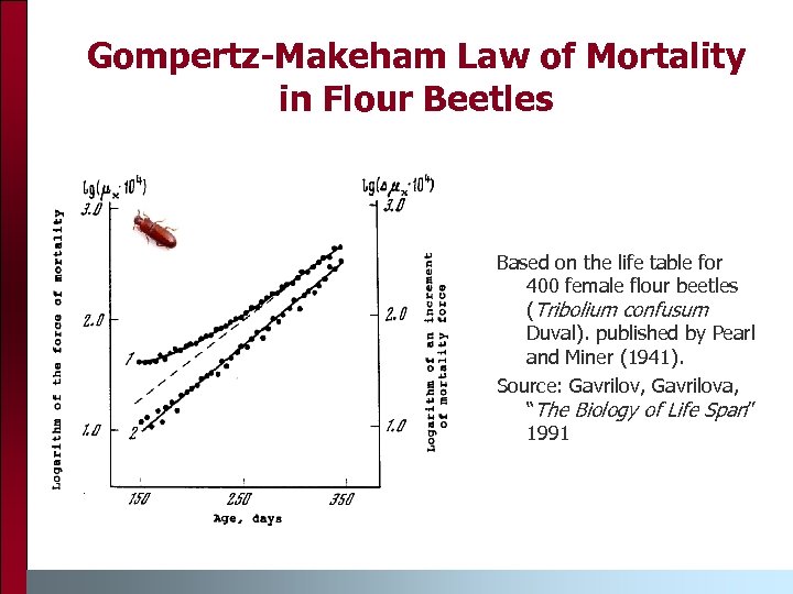 Gompertz-Makeham Law of Mortality in Flour Beetles Based on the life table for 400