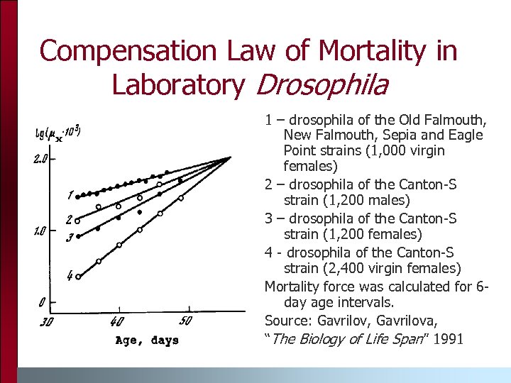 Compensation Law of Mortality in Laboratory Drosophila 1 – drosophila of the Old Falmouth,