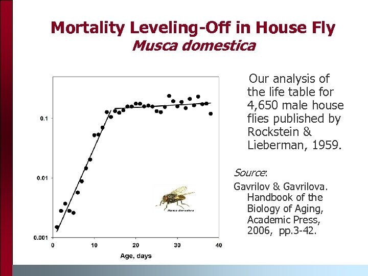 Mortality Leveling-Off in House Fly Musca domestica Our analysis of the life table for