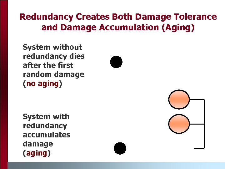 Redundancy Creates Both Damage Tolerance and Damage Accumulation (Aging) System without redundancy dies after