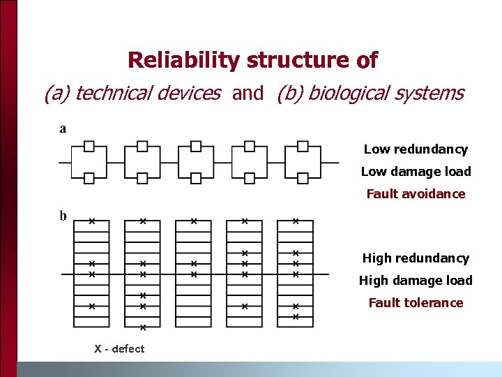 Reliability structure of (a) technical devices and (b) biological systems Low redundancy Low damage