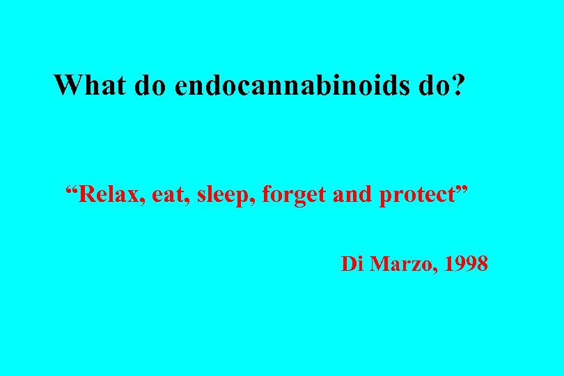 What do endocannabinoids do? “Relax, eat, sleep, forget and protect” Di Marzo, 1998 