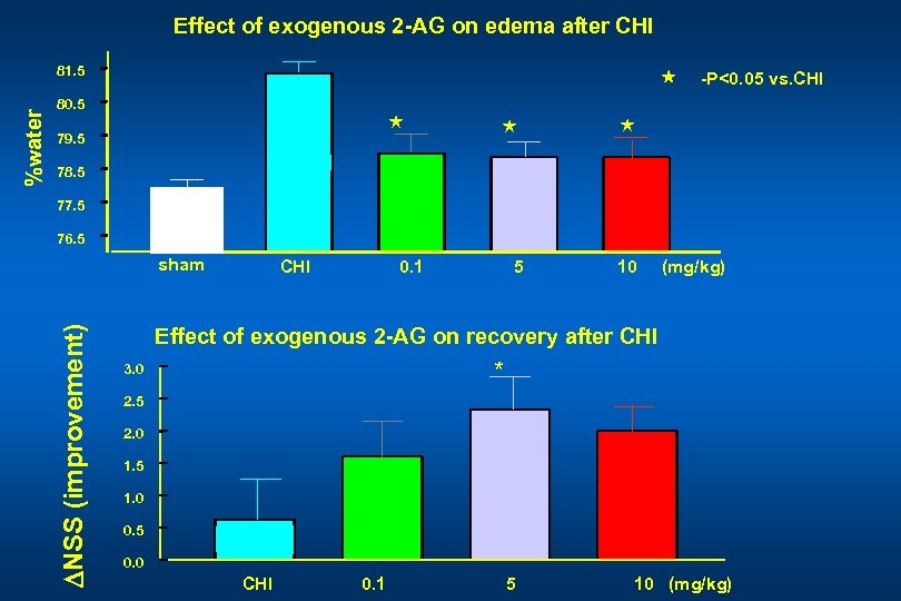 Effect of exogenous 2 -AG on edema after CHI « 80. 5 « 79.