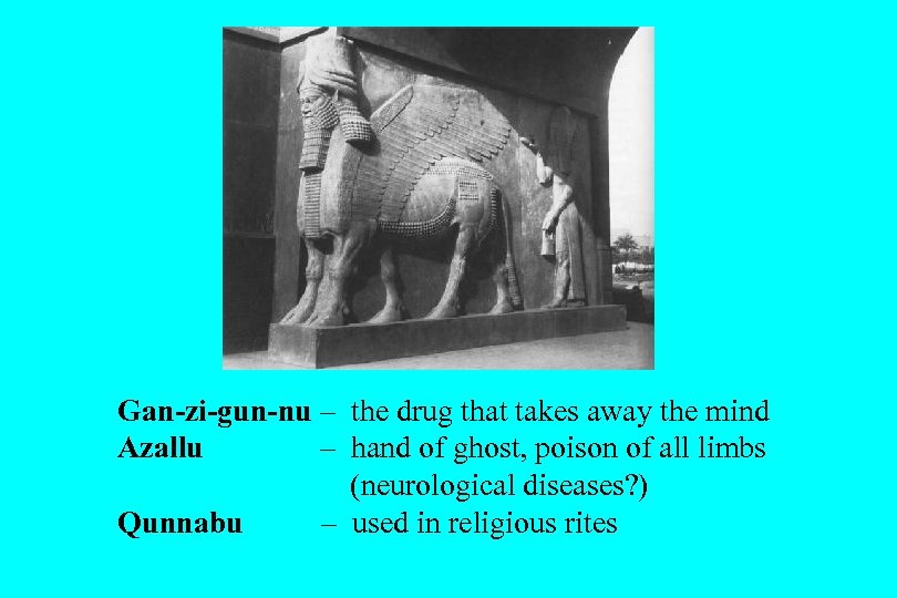 Gan-zi-gun-nu – the drug that takes away the mind Azallu – hand of ghost,