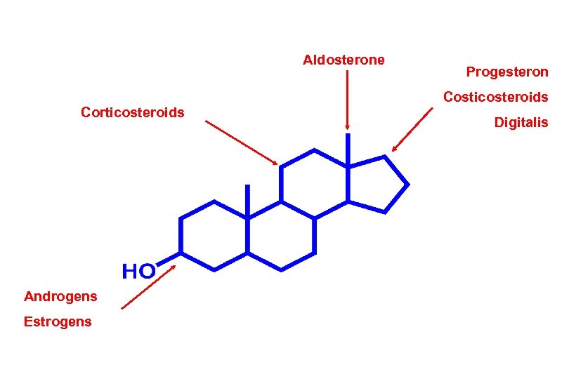 Aldosterone Progesteron Costicosteroids Corticosteroids Androgens Estrogens Digitalis 