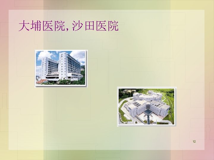 大埔医院, 沙田医院 12 