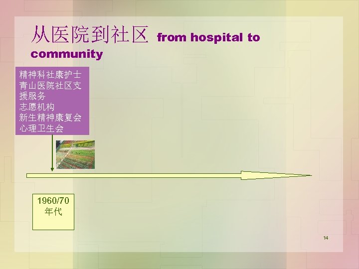 从医院到社区 community from hospital to 精神科社康护士 青山医院社区支 援服务 志愿机构 新生精神康复会 心理卫生会 1960/70 年代 14