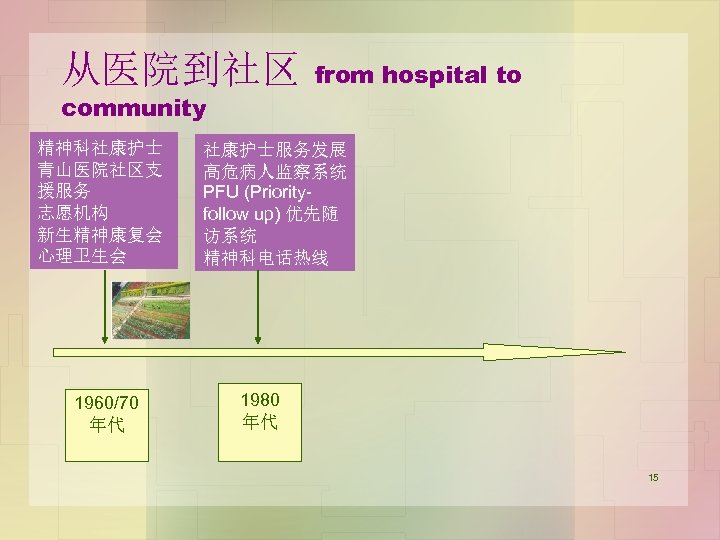 从医院到社区 community 精神科社康护士 青山医院社区支 援服务 志愿机构 新生精神康复会 心理卫生会 1960/70 年代 from hospital to 社康护士服务发展