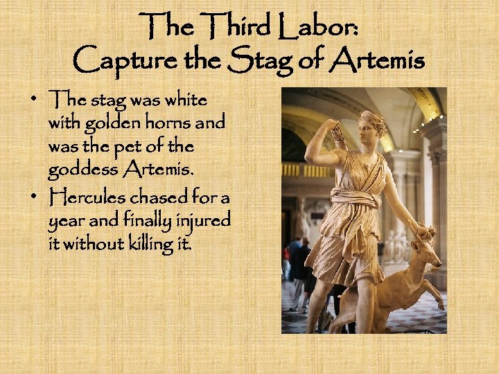 The Third Labor: Capture the Stag of Artemis • The stag was white with