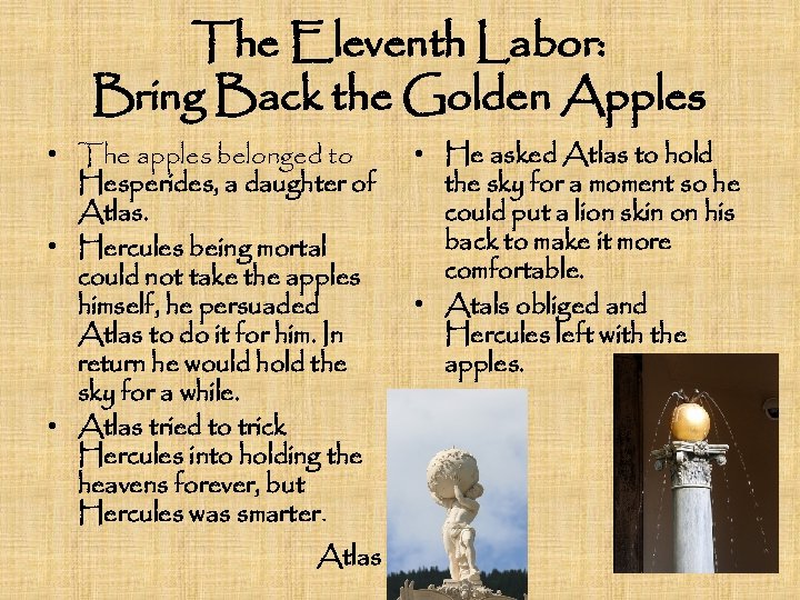 The Eleventh Labor: Bring Back the Golden Apples • The apples belonged to Hesperides,