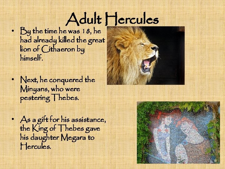 Adult Hercules • By the time he was 18, he had already killed the