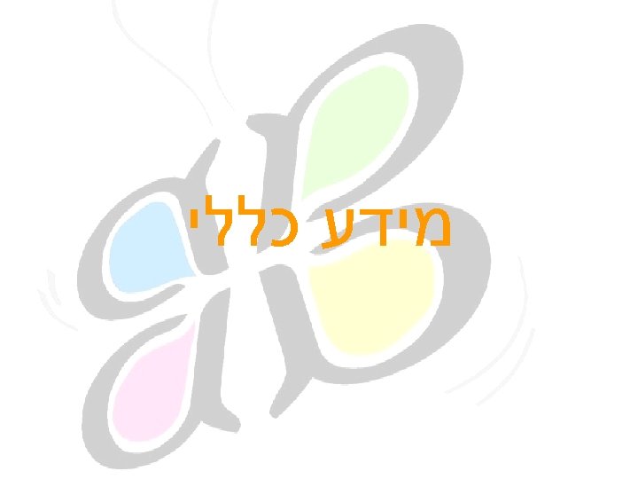  מידע כללי 