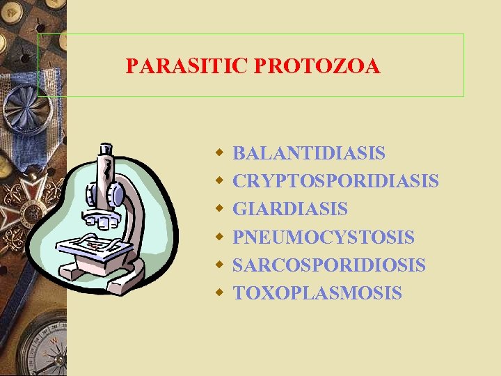 PARASITIC PROTOZOA w w w BALANTIDIASIS CRYPTOSPORIDIASIS GIARDIASIS PNEUMOCYSTOSIS SARCOSPORIDIOSIS TOXOPLASMOSIS 