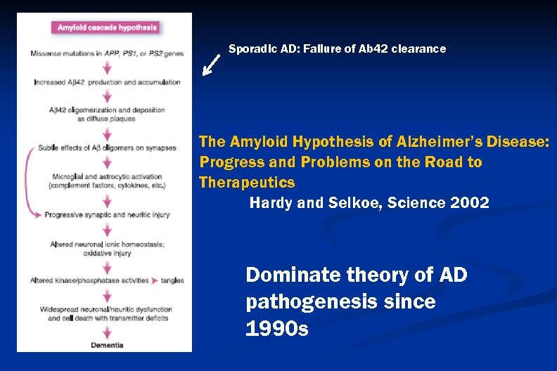 Sporadic AD: Failure of Ab 42 clearance The Amyloid Hypothesis of Alzheimer’s Disease: Progress