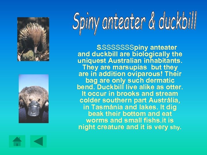 S SSSSSSSpiny anteater and duckbill are biologically the uniquest Australian inhabitants. They are marsupias