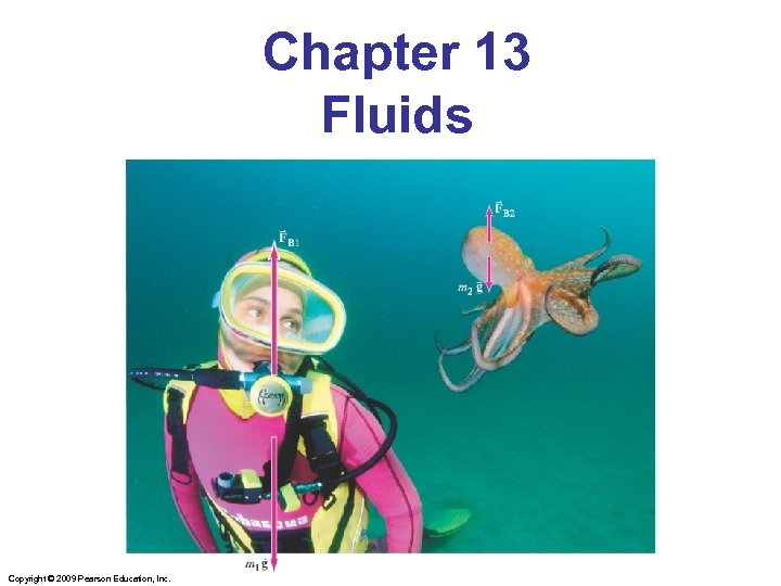 Chapter 13 Fluids Copyright © 2009 Pearson Education, Inc. 