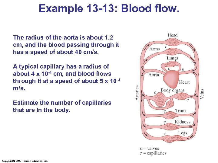 Example 13 -13: Blood flow. The radius of the aorta is about 1. 2