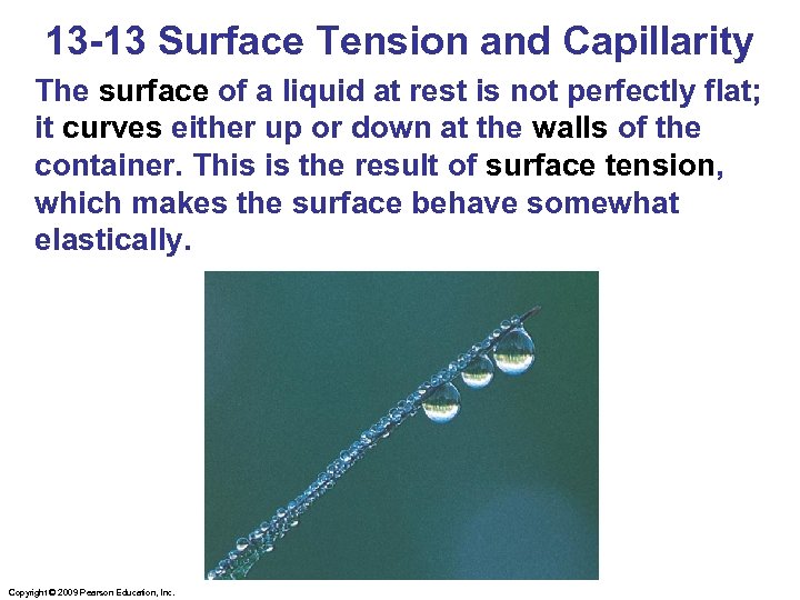 13 -13 Surface Tension and Capillarity The surface of a liquid at rest is