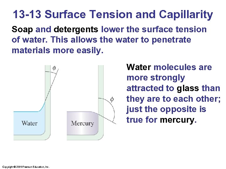 13 -13 Surface Tension and Capillarity Soap and detergents lower the surface tension of
