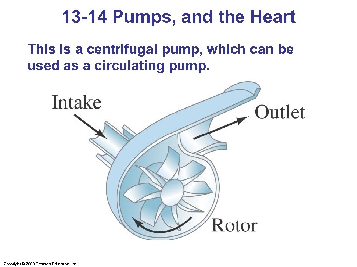 13 -14 Pumps, and the Heart This is a centrifugal pump, which can be