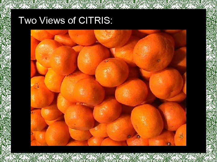 Two Views of CITRIS: vv 