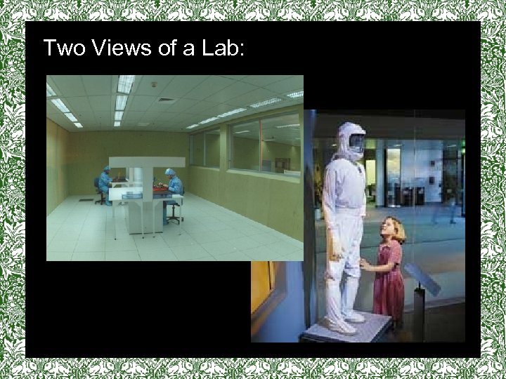 Two Views of a Lab: vv 
