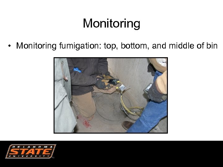 Monitoring • Monitoring fumigation: top, bottom, and middle of bin 