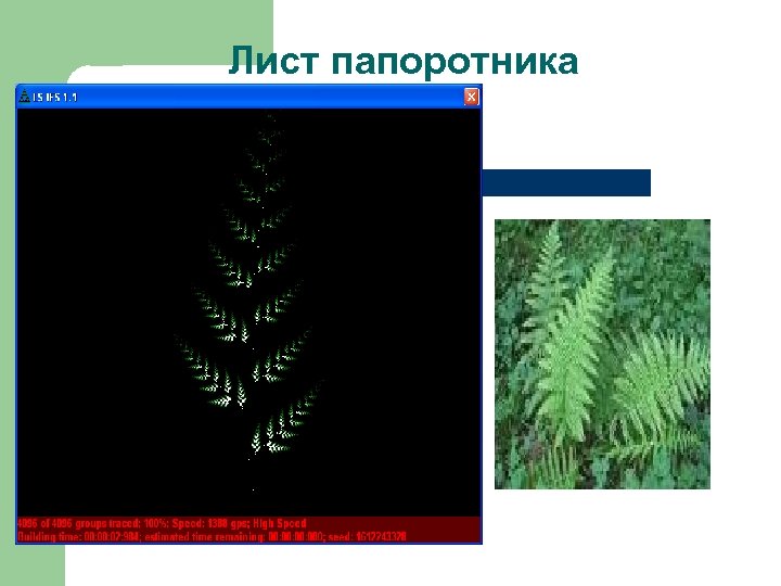 Лист папоротника 