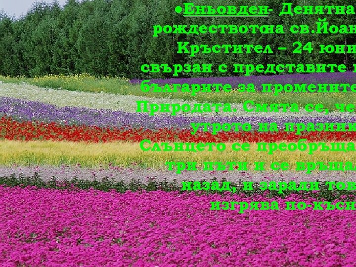 ●Еньовден- Денятна рождеството св. Йоан на Кръстител – 24 юни свързан с представите н