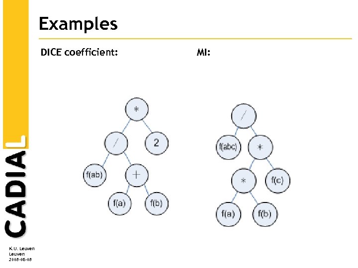 Examples DICE coefficient: K. U. Leuven 2008 -05 -08 MI: 